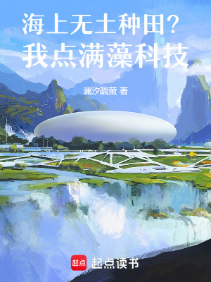 海上无土种田我点满藻科技
